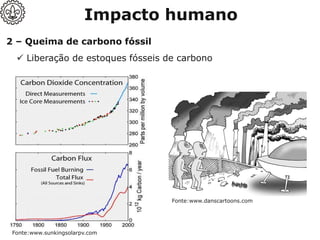 2 – Queima de carbono fóssil
✓ Liberação de estoques fósseis de carbono
Fonte:www.sunkingsolarpv.com
Impacto humano
Fonte:www.danscartoons.com
 