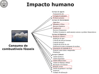 Consumo de
combustíveis fósseis
Impacto humano
 