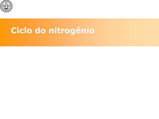 Ciclo do nitrogênio
 