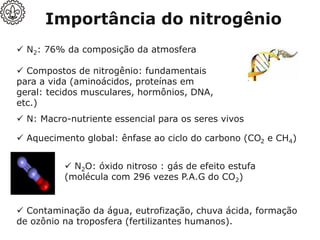 Importância do nitrogênio
✓ Aquecimento global: ênfase ao ciclo do carbono (CO2 e CH4)
✓ N: Macro-nutriente essencial para os seres vivos
✓ N2: 76% da composição da atmosfera
✓ Compostos de nitrogênio: fundamentais
para a vida (aminoácidos, proteínas em
geral: tecidos musculares, hormônios, DNA,
etc.)
✓ Contaminação da água, eutrofização, chuva ácida, formação
de ozônio na troposfera (fertilizantes humanos).
✓ N2O: óxido nitroso : gás de efeito estufa
(molécula com 296 vezes P.A.G do CO2)
 