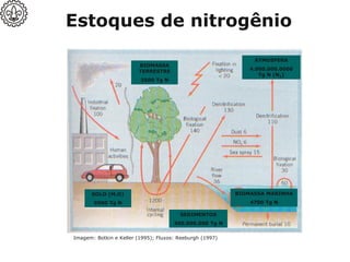 Estoques de nitrogênio
Imagem: Botkin e Keller (1995); Fluxos: Reeburgh (1997)
BIOMASSA
TERRESTRE
3500 Tg N
ATMOSFERA
4.000.000.0000
Tg N (N2)
SOLO (M.O)
9500 Tg N
BIOMASSA MARINHA
4700 Tg N
SEDIMENTOS
400.000.000 Tg N
 