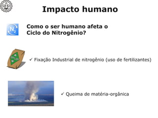 Como o ser humano afeta o
Ciclo do Nitrogênio?
✓ Queima de matéria-orgânica
✓ Fixação Industrial de nitrogênio (uso de fertilizantes)
Impacto humano
 