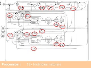 Processos : 1- Fixação biológica de nitrogênio
2- Nitrificação
3- Decomposição
4- Denitrificação
5- Forçamento radiativo
6- Fotólise N2O para N2
7- Foto-oxidação de amônia
8- Deposição atmosférica de N reativo
9 –Neutralização
10- Runoff / lixiviação nitratos
11- Volatilização de amônia
12- Incêndios naturais
 