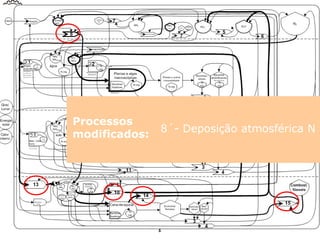 Processos
modificados:
13-Fixação Industrial
10´- Lixiviação/ Runoff
14-Queima de biomassa
15- Queima de comb. fóssil
8´- Deposição atmosférica N
 