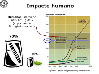 30%
70%
Humanos: adição de
mais 175 Tg de N
(duplicaram o
Nitrogênio reativo!)
Impacto humano
 
