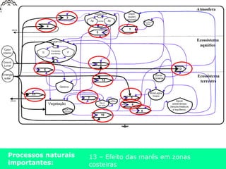 Processos naturais
importantes:
1 – Formação de nuvens
2 – Aquecimento (circulação nuvens)
3 – Precipitação (chuva)
4 – Reflexão solar (nuvens)
5 – Evaporação no oceano
6 – Congelamento de água (geleiras)
7 – Interceptação da chuva
5 – Evaporação da água do solo
8 – Escoamento superficial
9 – Escoamento de base (infiltração)
10 – Transpiração da vegetação
11 – Reflexão nas geleiras
12 – Derretimento gelo
13 – Efeito das marés em zonas
costeiras
 