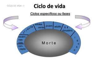 M o r t e
Ciclo de vida
Ciclos específicos ou fases
c
r i
an
ça
i
d
o
s
o
adoles
cente
jovem adulto 
climatério
con-
cepto
recém-
nas-
cido
CICLO DE VIDA - I
 