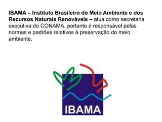 Silvia Del Ciel
IBAMA – Instituto Brasileiro do Meio Ambiente e dos
Recursos Naturais Renováveis – atua como secretaria
executiva do CONAMA, portanto é responsável pelas
normas e padrões relativos à preservação do meio
ambiente.
 