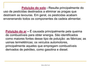 Silvia Del Ciel
Poluição do solo - Resulta principalmente do
uso de pesticidas destinados a eliminar as pragas que
destroem as lavouras. Em geral, os pesticidas acabam
envenenando todos os componentes da cadeia alimentar.
Poluição do ar – É causada principalmente pela queima
de combustíveis para obter energia. São identificados
como maiores fontes desse tipo de poluição: as fábricas; as
usinas termelétricas; os veículos automotores,
principalmente aqueles que empregam combustíveis
derivados de petróleo, como gasolina e diesel.
 