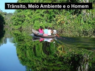 Silvia Del Ciel
Trânsito, Meio Ambiente e o Homem
 