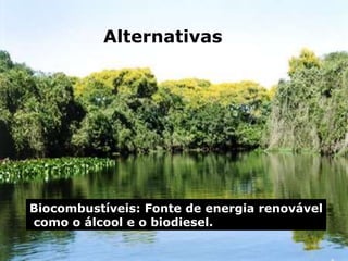 Silvia Del Ciel
Alternativas
Biocombustíveis: Fonte de energia renovável
como o álcool e o biodiesel.
 