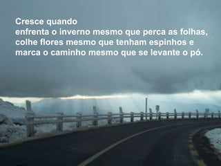 Silvia Del Ciel
Cresce quando
enfrenta o inverno mesmo que perca as folhas,
colhe flores mesmo que tenham espinhos e
marca o caminho mesmo que se levante o pó.
 