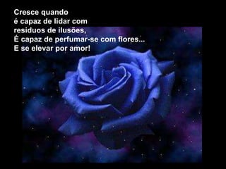 Silvia Del Ciel
Cresce quando
é capaz de lidar com
residuos de ilusões,
É capaz de perfumar-se com flores...
E se elevar por amor!
 