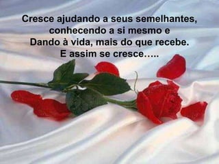 Silvia Del Ciel
Cresce ajudando a seus semelhantes,
conhecendo a si mesmo e
Dando à vida, mais do que recebe.
E assim se cresce…..
Cresce ajudando a seus semelhantes,
conhecendo a si mesmo e
Dando à vida, mais do que recebe.
E assim se cresce…..
 