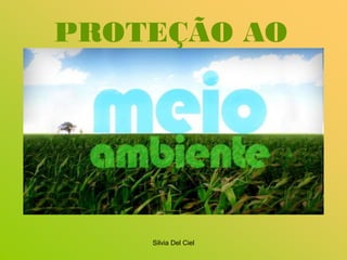 Silvia Del Ciel
PROTEÇÃO AO
 