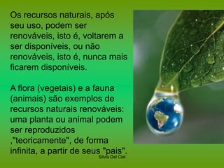 Silvia Del Ciel
Os recursos naturais, após
seu uso, podem ser
renováveis, isto é, voltarem a
ser disponíveis, ou não
renováveis, isto é, nunca mais
ficarem disponíveis.
A flora (vegetais) e a fauna
(animais) são exemplos de
recursos naturais renováveis:
uma planta ou animal podem
ser reproduzidos
,"teoricamente", de forma
infinita, a partir de seus "pais".
 