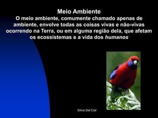 Silvia Del Ciel
Meio Ambiente
O meio ambiente, comumente chamado apenas de
ambiente, envolve todas as coisas vivas e não-vivas
ocorrendo na Terra, ou em alguma região dela, que afetam
os ecossistemas e a vida dos humanos
 
