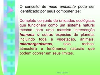 Silvia Del Ciel
O conceito de meio ambiente pode ser
identificado por seus componentes:
Completo conjunto de unidades ecológicas
que funcionam como um sistema natural
mesmo com uma massiva intervenção
humana e outras espécies do planeta,
incluindo toda a vegetação, animais,
microorganismos, solo, rochas,
atmosfera e fenômenos naturais que
podem ocorrer em seus limites.
 