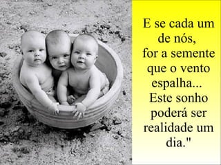 E se cada um de nós,  for a semente que o vento espalha...  Este sonho poderá ser realidade um dia." 
