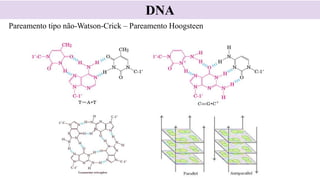 DNA
Pareamento tipo não-Watson-Crick – Pareamento Hoogsteen
 