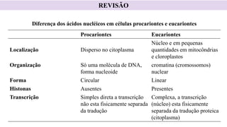 Procariontes Eucariontes
Localização Disperso no citoplasma
Núcleo e em pequenas
quantidades em mitocôndrias
e cloroplastos
Organização Só uma molécula de DNA,
forma nucleoide
cromatina (cromossomos)
nuclear
Forma Circular Linear
Histonas Ausentes Presentes
Transcrição Simples direta a transcrição
não esta fisicamente separada
da tradução
Complexa, a transcrição
(núcleo) esta fisicamente
separada da tradução proteica
(citoplasma)
Diferença dos ácidos nucléicos em células procariontes e eucariontes
REVISÃO
 