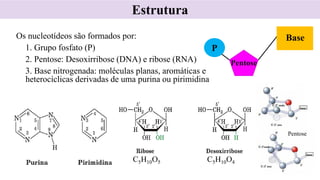 Os nucleotídeos são formados por:
1. Grupo fosfato (P)
2. Pentose: Desoxirribose (DNA) e ribose (RNA)
3. Base nitrogenada: moléculas planas, aromáticas e
heterocíclicas derivadas de uma purina ou pirimidina
Estrutura
P
Pentose
Base
C5H10O5 C5H10O4
Pentose
 
