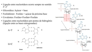 • Ligação entre nucleotídeos ocorre sempre no sentido
5’-3’
• Glicosídica: Açúcar + base
• Fosfodiéster: Fosfato + açúcar da próxima base
• Covalentes: Fosfato+Fosfato+Fosfato
• Ligações entre nucleotídeos por pontes de hidrogênio
(ligação entre as bases nitrogenadas):
A=T
G≡C
 