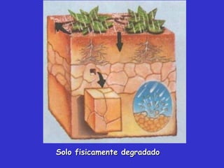 Solo fisicamente degradadoSolo fisicamente degradado
 