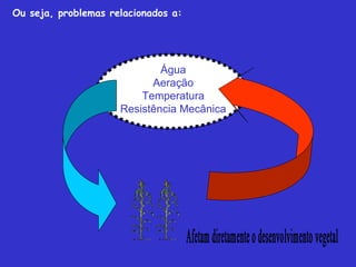 Água
Aeração
Temperatura
Resistência Mecânica
Ou seja, problemas relacionados a:
 