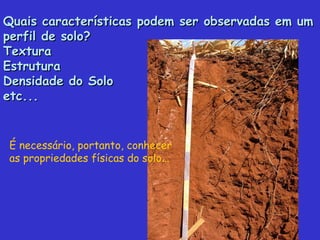 Quais características podem ser observadas em umQuais características podem ser observadas em um
perfil de solo?perfil de solo?
TexturaTextura
EstruturaEstrutura
Densidade do SoloDensidade do Solo
etc...etc...
É necessário, portanto, conhecer
as propriedades físicas do solo...
 