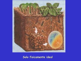 Solo fisicamente idealSolo fisicamente ideal
 