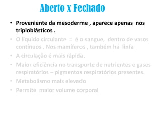 Aberto x Fechado
• Proveniente da mesoderme , aparece apenas nos
  triploblásticos .
• O líquido circulante = é o sangue, dentro de vasos
  contínuos . Nos mamíferos , também há linfa
• A circulação é mais rápida.
• Maior eficiência no transporte de nutrientes e gases
  respiratórios – pigmentos respiratórios presentes.
• Metabolismo mais elevado
• Permite maior volume corporal
 