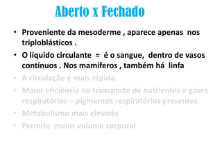 Aberto x Fechado
• Proveniente da mesoderme , aparece apenas nos
  triploblásticos .
• O líquido circulante = é o sangue, dentro de vasos
  contínuos . Nos mamíferos , também há linfa
• A circulação é mais rápida.
• Maior eficiência no transporte de nutrientes e gases
  respiratórios – pigmentos respiratórios presentes.
• Metabolismo mais elevado
• Permite maior volume corporal
 