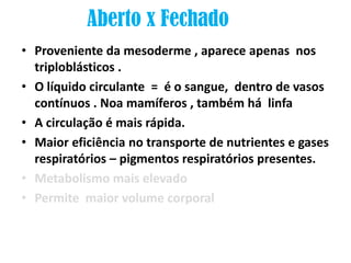 Aberto x Fechado
• Proveniente da mesoderme , aparece apenas nos
  triploblásticos .
• O líquido circulante = é o sangue, dentro de vasos
  contínuos . Noa mamíferos , também há linfa
• A circulação é mais rápida.
• Maior eficiência no transporte de nutrientes e gases
  respiratórios – pigmentos respiratórios presentes.
• Metabolismo mais elevado
• Permite maior volume corporal
 