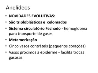 Anelídeos
• NOVIDADES EVOLUTIVAS:
• São triploblásticos e celomados
• Sistema circulatório Fechado - hemoglobina
  para transporte de gases
• Metamerização
• Cinco vasos contráteis (pequenos corações)
• Vasos próximos à epiderme - facilita trocas
  gasosas
 