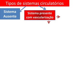 Tipos de sistemas circulatórios
Sistema     Sistema presente
Ausente    com vascularização
 