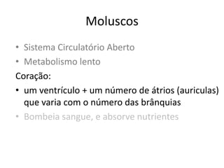 Moluscos
• Sistema Circulatório Aberto
• Metabolismo lento
Coração:
• um ventrículo + um número de átrios (auriculas)
  que varia com o número das brânquias
• Bombeia sangue, e absorve nutrientes
 