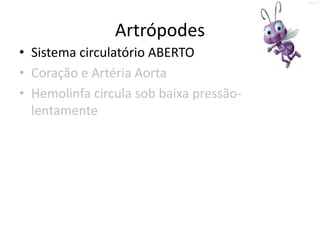 Artrópodes
• Sistema circulatório ABERTO
• Coração e Artéria Aorta
• Hemolinfa circula sob baixa pressão-
  lentamente
 