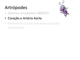 Artrópodes
• Sistema circulatório ABERTO
• Coração e Artéria Aorta
• Hemolinfa circula sob baixa pressão-
  lentamente
 