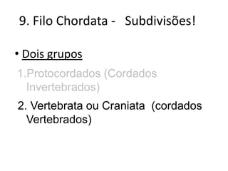9. Filo Chordata - Subdivisões!

• Dois grupos
1.Protocordados (Cordados
  Invertebrados)
2. Vertebrata ou Craniata (cordados
  Vertebrados)
 