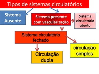 Tipos de sistemas circulatórios
Sistema          Sistema presente       Sistema
Ausente         com vascularização    circulatório
                                         aberto

          Sistema circulatório
               fechado
                                     circulação
                 Circulação           simples
                    dupla
 