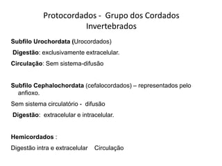 Protocordados - Grupo dos Cordados
                       Invertebrados
Subfilo Urochordata (Urocordados)
Digestão: exclusivamente extracelular.
Circulação: Sem sistema-difusão


Subfilo Cephalochordata (cefalocordados) – representados pelo
  anfioxo.
Sem sistema circulatório - difusão
Digestão: extracelular e intracelular.


Hemicordados :
Digestão intra e extracelular   Circulação
 