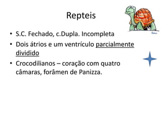 Repteis
• S.C. Fechado, c.Dupla. Incompleta
• Dois átrios e um ventrículo parcialmente
  dividido
• Crocodilianos – coração com quatro
  câmaras, forâmen de Panizza.
 