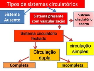 Tipos de sistemas circulatórios
Sistema          Sistema presente        Sistema
Ausente                                circulatório
                com vascularização
                                          aberto

          Sistema circulatório
               fechado
                                     circulação
                 Circulação           simples
                    dupla
  Completa                       Incompleta
 