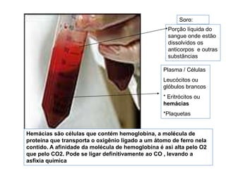 Soro:
                                                    Porção líquida do
                                                    sangue onde estão
                                                    dissolvidos os
                                                    anticorpos e outras
                                                    substâncias

                                                  Plasma / Células
                                                  Leucócitos ou
                                                  glóbulos brancos
                                                  * Eritrócitos ou
                                                  hemácias
                                                  *Plaquetas


Hemácias são células que contém hemoglobina, a molécula de
proteína que transporta o oxigênio ligado a um átomo de ferro nela
contido. A afinidade da molécula de hemoglobina é asi alta pelo O2
que pelo CO2. Pode se ligar definitivamente ao CO , levando a
asfixia química
 