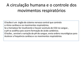 A circulação humana e o controle dos
        movimentos respiratórios

O bulbo é um órgão do sistema nervoso central que controla
o ritmo cardíaco e os movimentos respiratórios.
Se a hematose for insuficiente e houver acúmulo de CO2 no sangue ,
o pH se acidifica pois ocorre formação de ácido carbônico.
O bulbo , sensível a variação de pH do sangue, envia ordens neurológicas para
Acelerar a frequência cardíaca e os movimentos respiratórios.
 