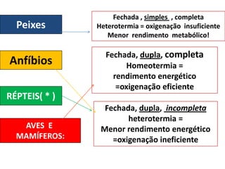 Fechada , simples , completa
  Peixes       Heterotermia = oxigenação insuficiente
                  Menor rendimento metabólico!

                 Fechada, dupla, completa
Anfíbios              Homeotermia =
                   rendimento energético
                    =oxigenação eficiente
RÉPTEIS( * )
                 Fechada, dupla, incompleta
                       heterotermia =
   AVES E       Menor rendimento energético
  MAMÍFEROS:       =oxigenação ineficiente
 