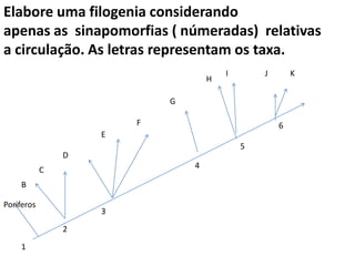 Elabore uma filogenia considerando
apenas as sinapomorfias ( númeradas) relativas
a circulação. As letras representam os taxa.
                                        I       J       K
                                    H

                            G

                        F                           6
                    E
                                            5
                D
            C                   4

    B

Poriferos
                    3
                2

    1
 