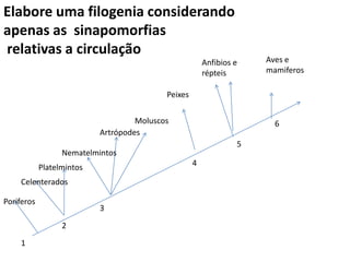 Elabore uma filogenia considerando
apenas as sinapomorfias
relativas a circulação
                                                        Anfibios e   Aves e
                                                        répteis      mamiferos

                                           Peixes


                                    Moluscos                           6
                           Artrópodes
                                                                 5
                  Nematelmintos
            Platelmintos                            4

    Celenterados

Poriferos
                           3
                  2

    1
 