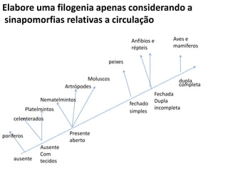 Elabore uma filogenia apenas considerando a
sinapomorfias relativas a circulação
                                                     Anfibios e       Aves e
                                                     répteis          mamiferos

                                            peixes


                                     Moluscos                           dupla
                            Artrópodes                                  completa
                                                               Fechada
                  Nematelmintos                                Dupla
                                                     fechado
            Platelmintos                                       incompleta
                                                     simples
    celenterados


poriferos                    Presente
                             aberto
                  Ausente
                  Com
    ausente       tecidos
 